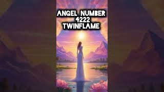 Angel number 4222 Twin flames #diviinetwinflame #angelnumbermeaning #angelnumber #lawofattraction