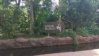 VID_20180724_153600.mp4