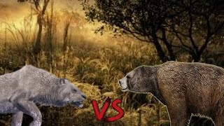 Cave Lion Vs Cave Bear I Prehistoric Beast Deathmatch Battles S-1-Spore-