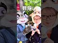 【ズートピア】ベルウェザーコーデでニクジュディに会ってきた🐏💥#ディズニー #ズートピア #グリーティング #disney #hkdisneyland #香港ディズニーランド