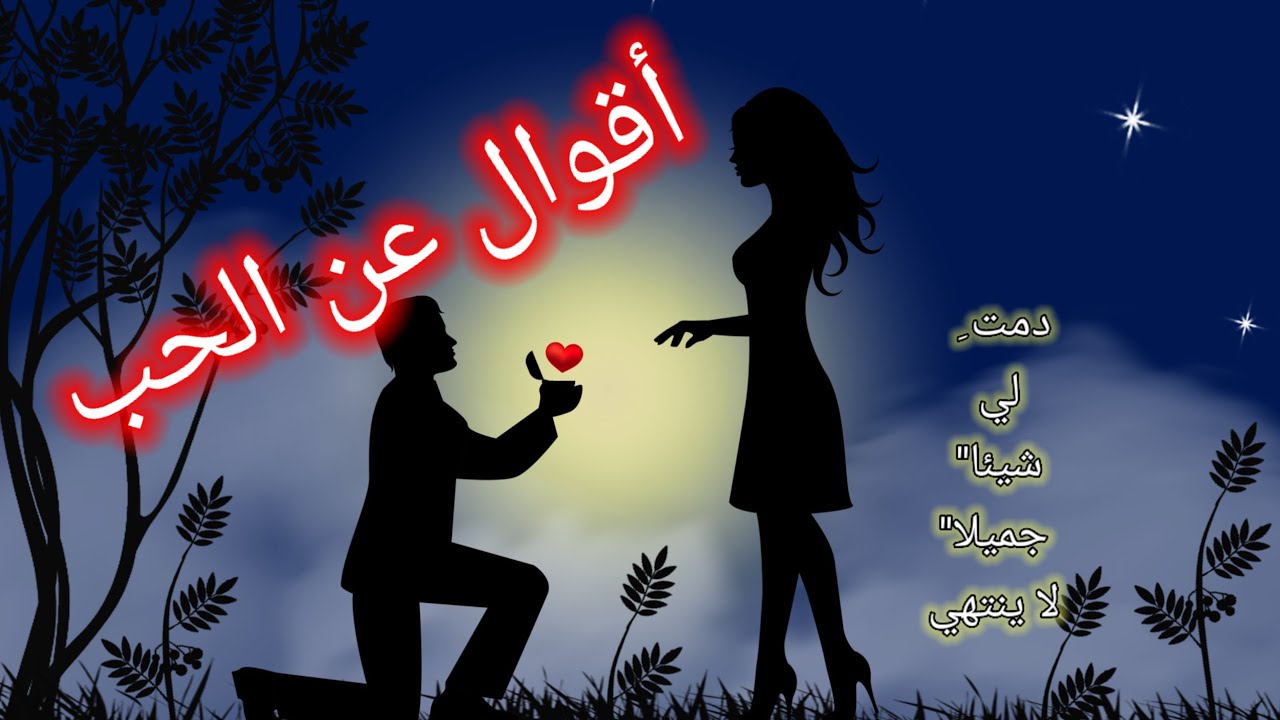 عبارات عن الحب والرومنسية ،حالات واتس ،حب ،عاطفة، علاقة ،حكم عن الحب ،خواطر ،روائع