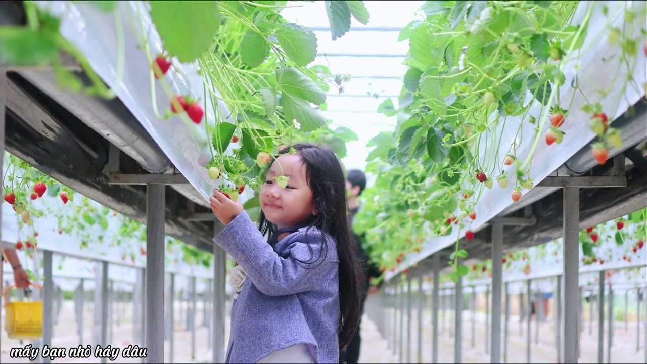 DALAT NGÀY 3 MÙNG 6 TẾT MỘT NGÀY BÌNH YÊN.LƯU LẠI KHOẢNH KHẮC ĐẸP TÔI BẮT GẶP