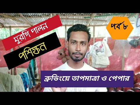 ভিডিও: মুরগী এবং Currant পূরণ সঙ্গে পাই