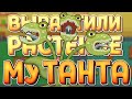 ВЫРАСТИЛИ РАСТЕНИЕ МУТАНТА( Kindergarten 2 )