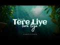 Tere liye slowed  reverb  atif aslam shreya ghoshal