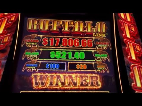 Mustang Gold Megaways Big Win🔥Roshtein got 100 FREE SPINS