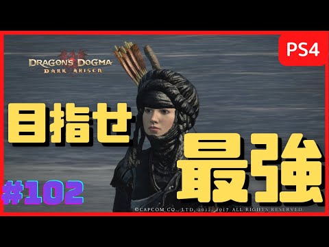【ドラゴンズドグマ:ダークアリズン】メインポーンを最強にする『パーフェクトぴよぴよ計画』 #102