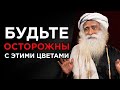 САДХГУРУ – Этого стоит избегать | КАК ОБЕЗОПАСИТЬ СВОЮ ЖИЗНЬ