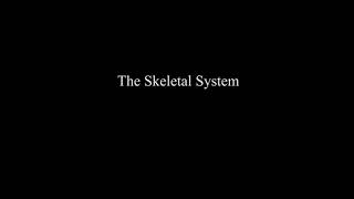 Lyrical Life Science Songs