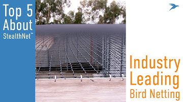 5 Things to Know About StealthNet®