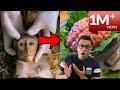 इन जानवरों को जिन्दा खा जाते हैं चाइना के लोग  | Truth & Amazing facts of china in hindi
