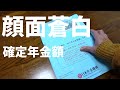 【シニアvlog】確定年金額に顔面蒼白/年金額公開