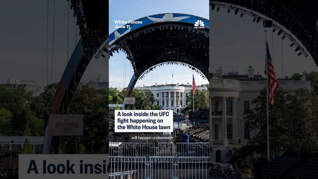 A look inside the UFC fight happening on the White House lawn