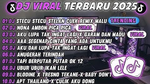 DJ TIKTOK TERBARU 2025-🎵 DJ DJ STECU STECU STELAN CUEK REMIX 🎵 DJ COBA COBA JALANIN DULU FULL ALBUM