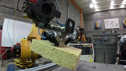 Needle gripper handling test Fanuc R-2000 165F