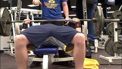 295x5 bench