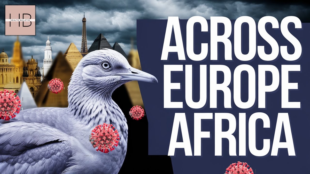 DEADLY Avian Flu Virus SPREADS Across Europe and Africa - YouTube