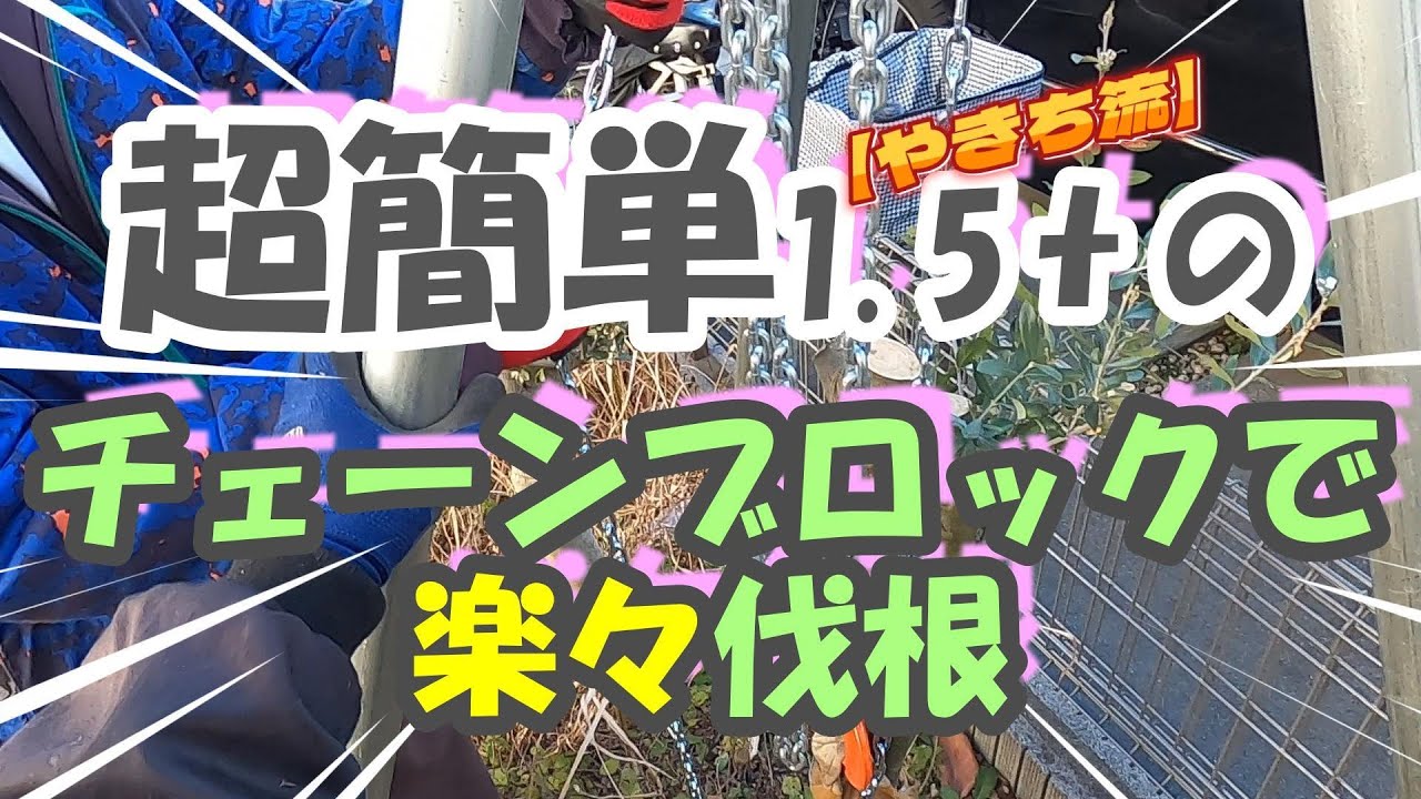 【伐根】1.5tチェーンブロックで超簡単！楽々伐根！【やきち流】