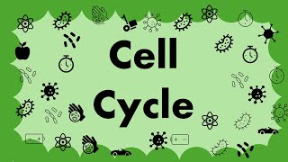 B2.1 - The Cell cycle B2.1 - The Cell cycle