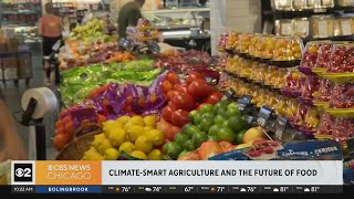 Climate change: the future of food and climate-smart agriculture