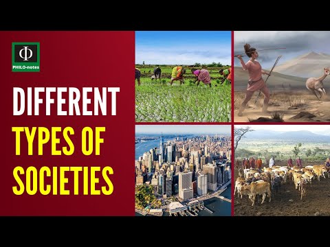 Video: The main types of society: characteristics