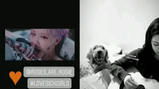 Idols, Dancers, & Ygfamily Supporting Blackpink - The Album