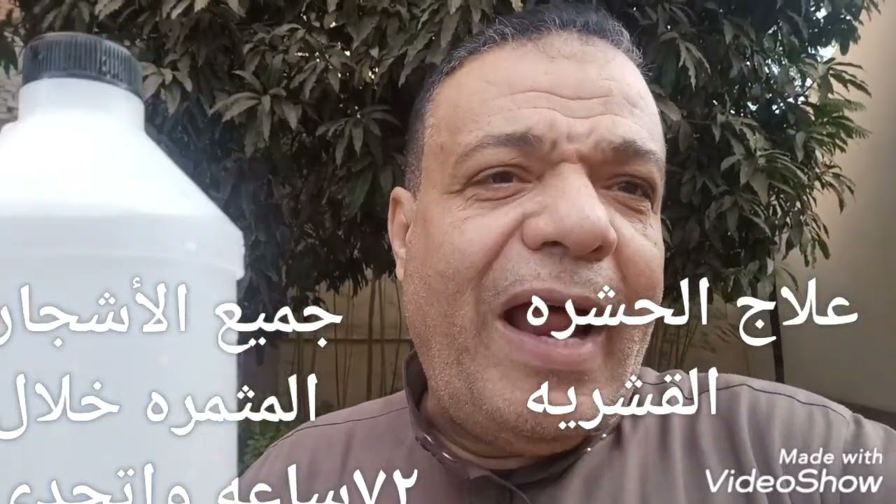 علاج الحشره القشريه لجميع الأشجار المثمرة خلال ٧٢ ساعه واتحدى بدون مواد سامه للاستفسار00201002094944