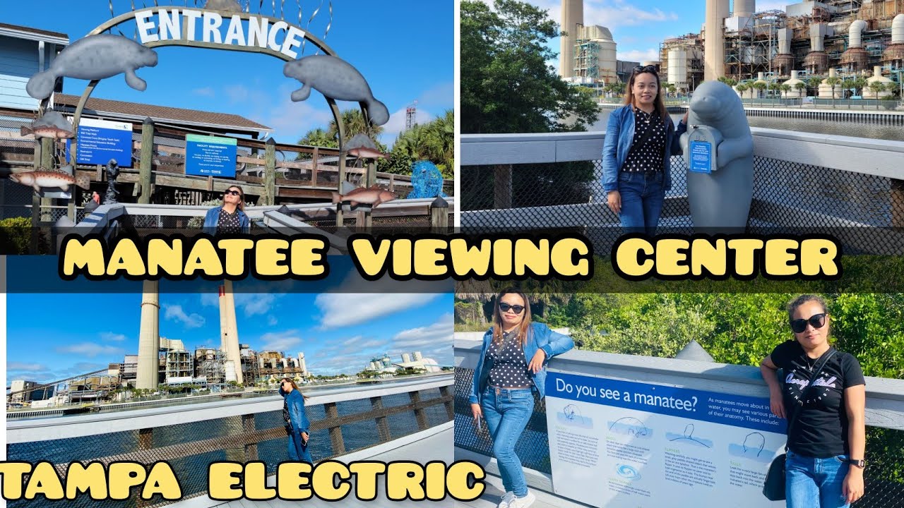 MANATEE VIEWING CENTER||FIRST TIME SEEING THEM||LAAG WITH FILIPINA FRIEND