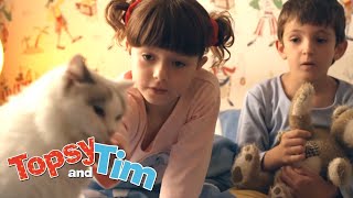 lost cat indoor tent topsy and tim cartoons for kids wildbrain kids