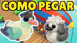 COMO PEGAR NOVO PET PATINHO PASTOR  E GAIVOTA PILOTO  adopt me roblox