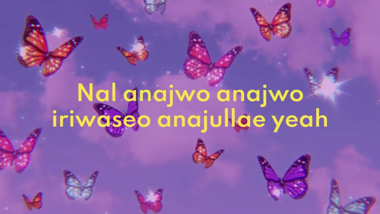 PINK BUTTERFLY - DBO FT. WONSTEIN LYRICS