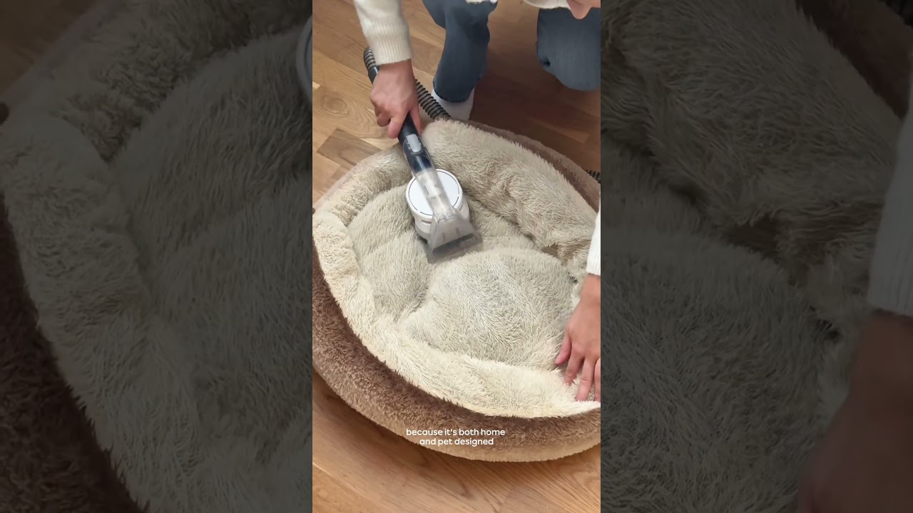 How To Clean Your Pet Bed With The Vax SpotWash