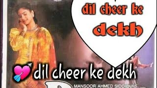 Download Lagu Dil cheer ke dekh tera hi naam hoga (rang1993) kumar sanu MP3