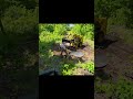 Making a Rut Stand Better w/ a Deer Waterhole #hunting #habitat #wildlife https://www.pfhabitat.com/