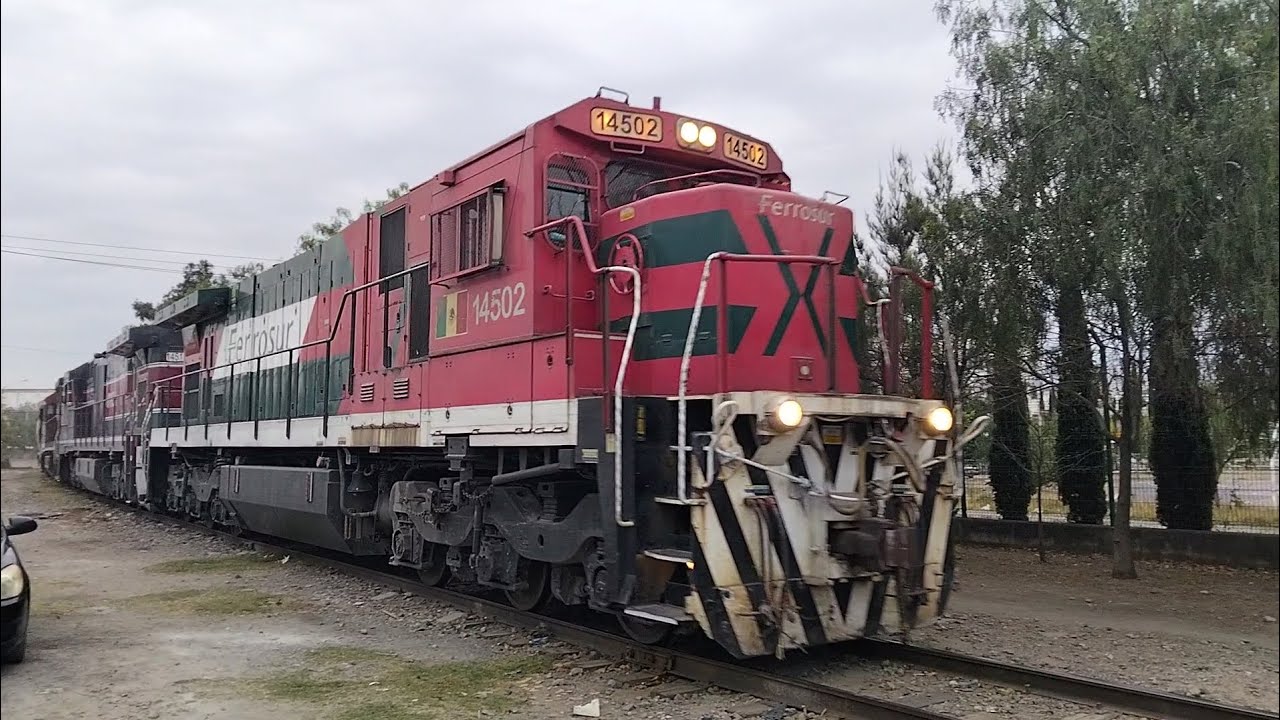 Un trio de súper 7 tempranito para el patio ttp