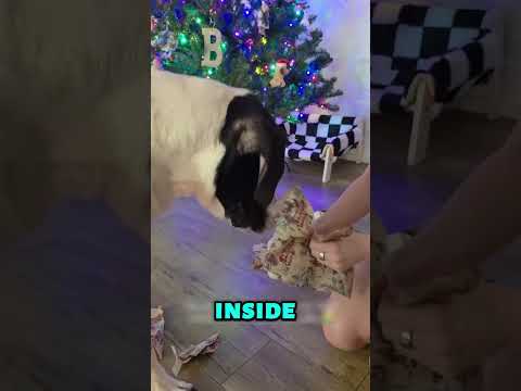 This made his whole day!