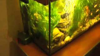 100_6097.avi