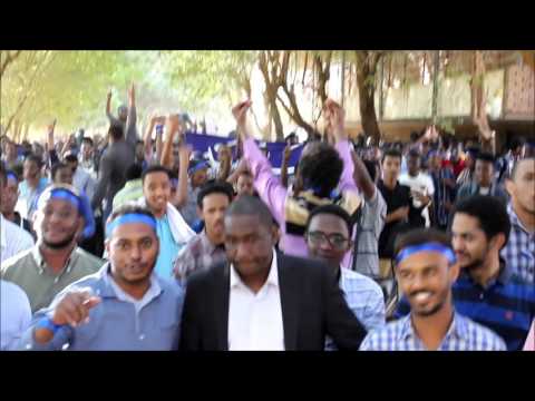 جامعة الخرطوم تشجيع كلية الهندسة