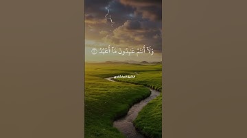 سورة الكافرون..سورة البراءة من الشرك للشيخ المنشاوي