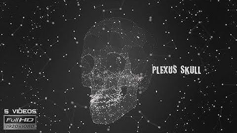 Plexus Skull Silhouette - 5 Pack - VideoHive