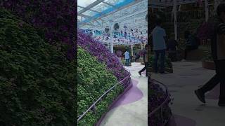 Celebrity At the peak Agro Market Cameron Highlands Wealth