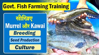 Fish Farming Training 2023 - मछली पालन का Govt. training on Murrel Fish Farming & Anabus