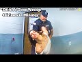 Club Rejection Gone Wrong: She Fights Cops, Demands Lawyers – 4 Felonies Later!
