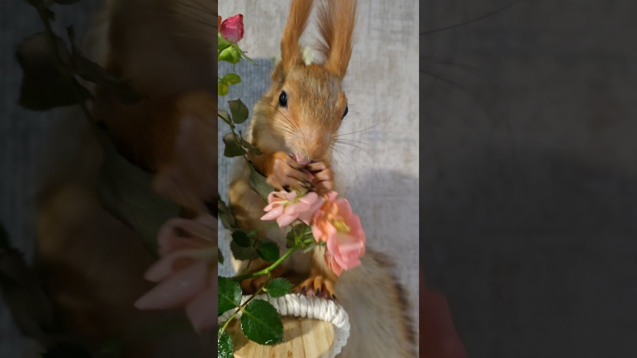 Груню нужно вовремя остановить, чтобы она не переработалась