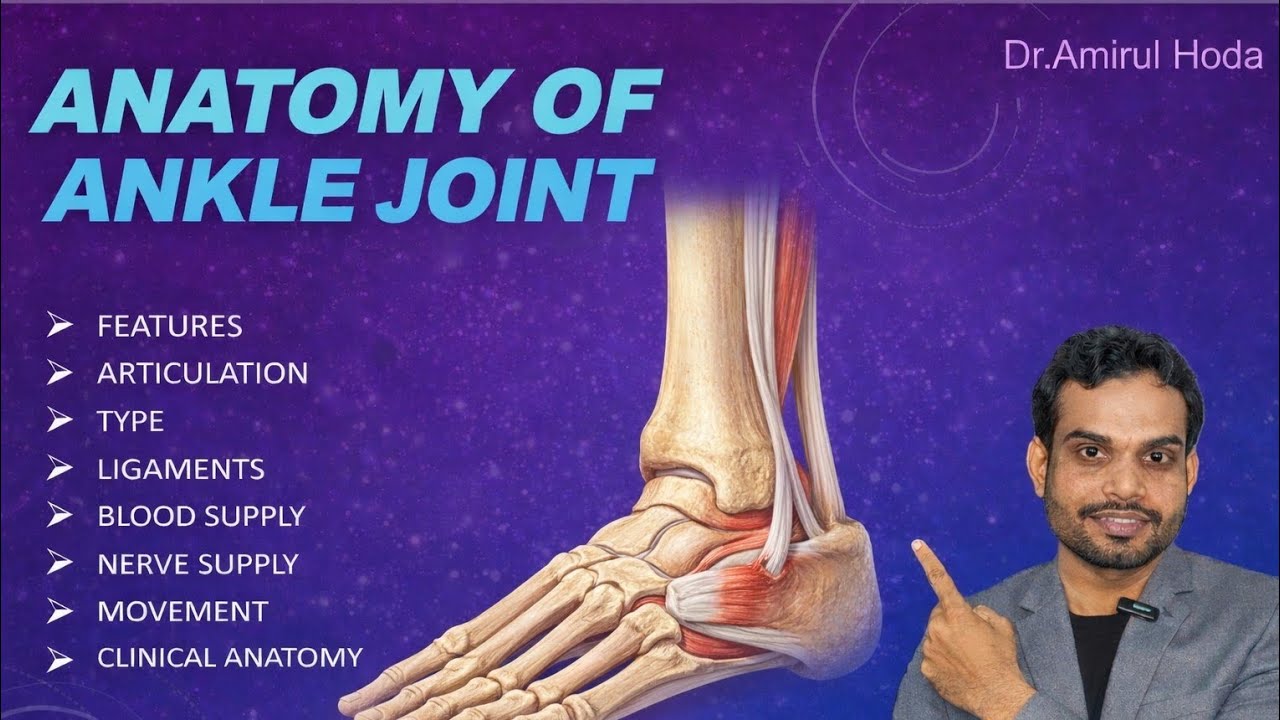 Anatomy of Ankle Joint | Bones, Ligaments, Movements & Clinical Anatomy | Physiotherapy