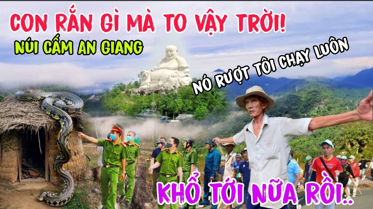 Núi Cấm nửa rồi xuất hiện hang Rắn Hổ Mây khủng bò xuống núi uống nước ông lão tháo chạy