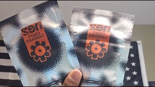 SWAMPWATER FUMES by NEZ - FULL REVIEW