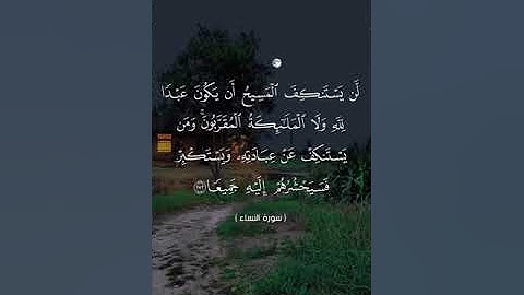 #بلغوا_عني_ولو_آيه بصوت هشام مجدي الآية   ١٧٣ و ١٧٤  من سورة النساء