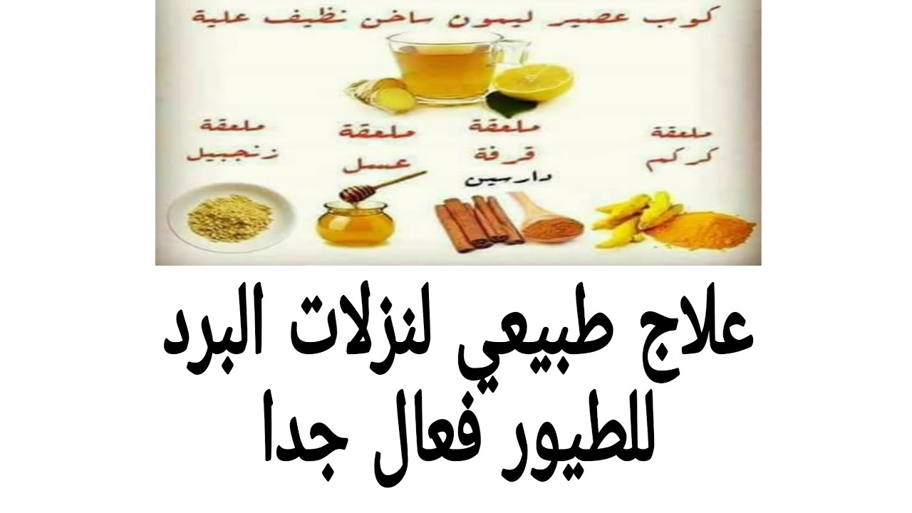 علاج طبيعي لنزلات البرد للطيور فعال جدا