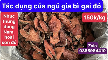 Tác dụng chữa bệnh của ngũ gia bì gai đỏ ￼(nhục thung dung Nam, hoài sơn đỏ)